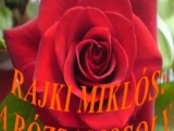 Rajki Miklós: A rózsa mosolya