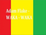 Adam Flake - Waka Waka Remix
