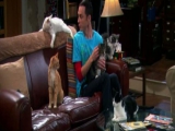 The Big Bang Theory S04E03