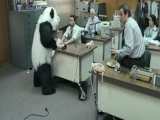 Never say no to Panda - Soha ne mondj nemet a...