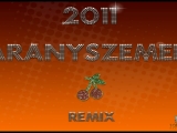 Aranyszemek 2011 - Pansov shela ( Remix )