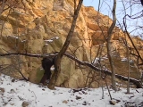 Kisheltás a sziklák alatt