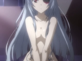 Infinite Stratos 9