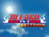 Bleach opening 8