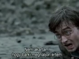 Harry Potter és a halál ereklyéi (2. rész)