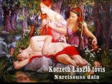 Koczeth László tövis: Narcissuss dala