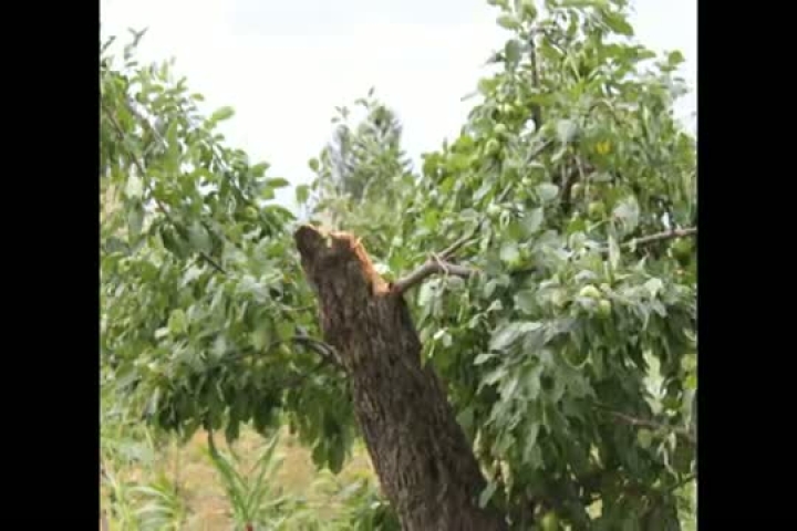 2011.07 19 a Vihar után