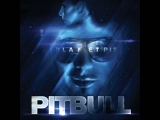 PITBULL