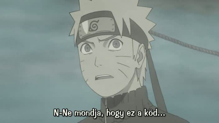 Naruto Shippuuden 225 .rész