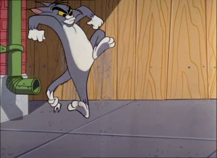 Tom és Jerry - 135. Az Energikus Macska (angol, nincs benne beszéd)