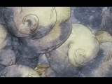 Fairy Tail 1. Rész (magyar felirat)