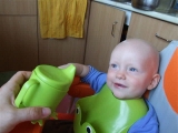 Tomi (9 hónapos) áfonyalevet iszik