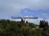 Csodás természet