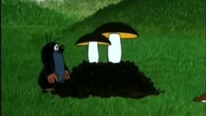 Kisvakond és a gombák
