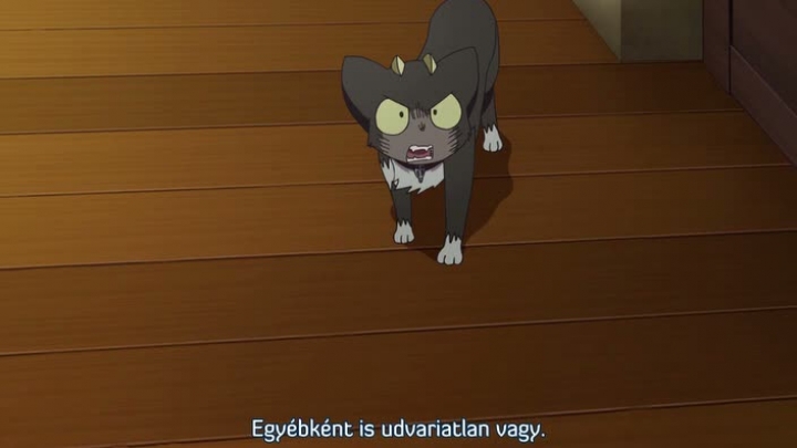Ao no Exorcist Special: Runaway Kuro magyar felirat