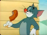 Tom és Jerry - Rágalmacskák