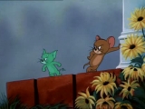 Tom és Jerry -  Tombol A Szerelem