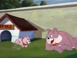 Tom és Jerry - Az Én Kölyköm