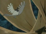 Naruto Shippuuden 5 resz