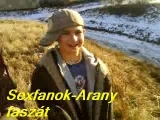 Sexfanok-Arany faszát