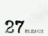 Bleach - 027 - Az első megmérettetés