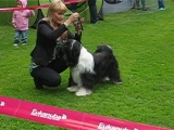 Tibeti Terrier CAC Strázsa Népliget.2011.07.02