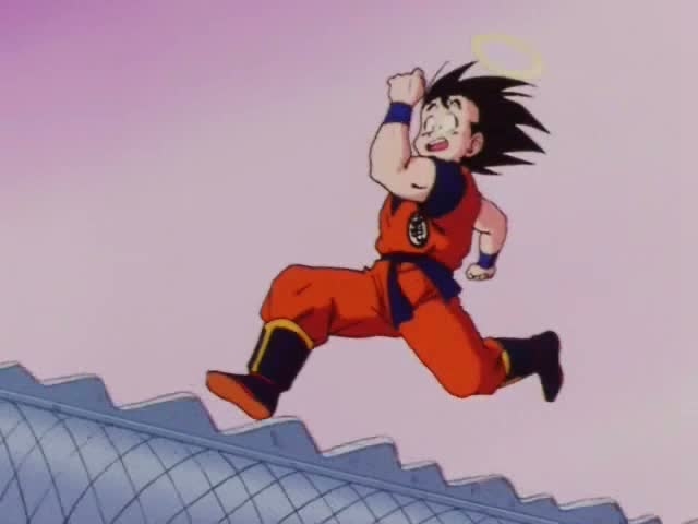 Dragon_Ball_Z_012_[DVDRIP][HUN_JAP]_By_DBZ4U