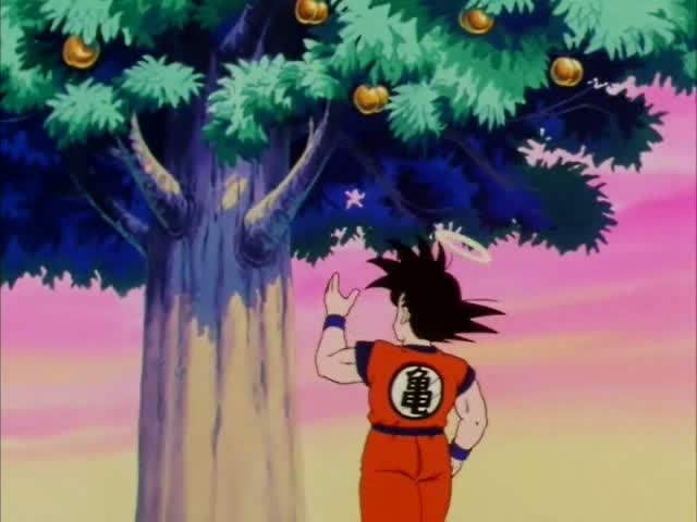 Dragon_Ball_Z_013_[DVDRIP][HUN_JAP]_By_DBZ4U