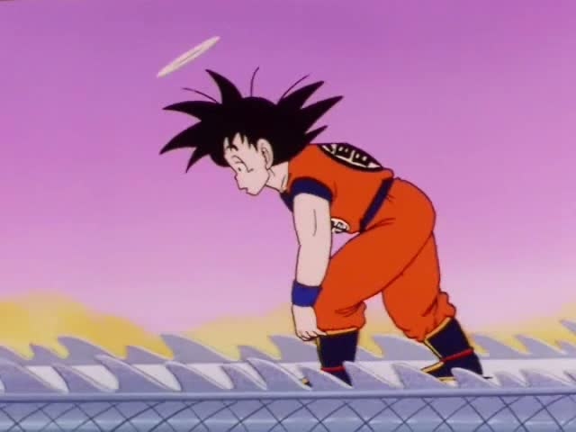 Dragon_Ball_Z_018_[DVDRIP][HUN_JAP]_By_DBZ4U