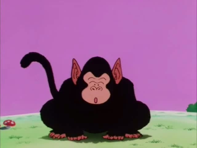 Dragon_Ball_Z_019_[DVDRIP][HUN_JAP]_By_DBZ4U