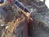 Robi 151 Rekord