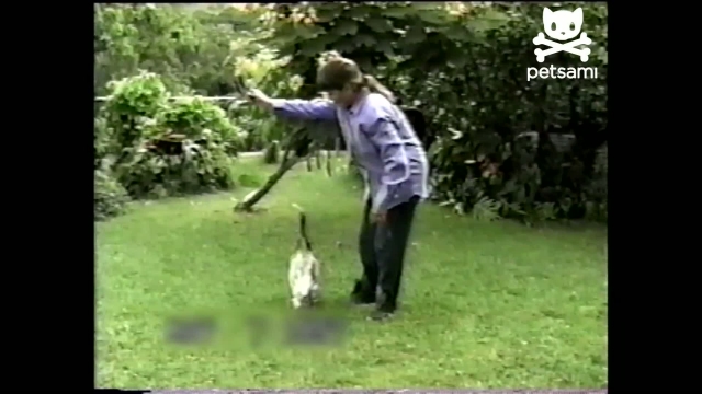 Kacsa, aki kutyának képzeli magát