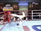 Taekwondo VS. Muay Thai