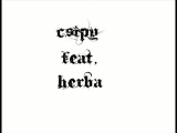 Csipy feat. Herba-Zűrös egy nap