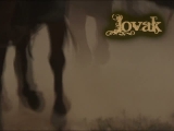 Lovak/Horses