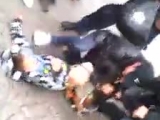 Rottweiler támad egy gyerekre az utcán...