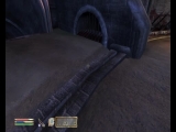 Oblivion aréna bug