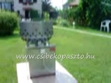 GÁL-300 R Csibekopasztó gép
