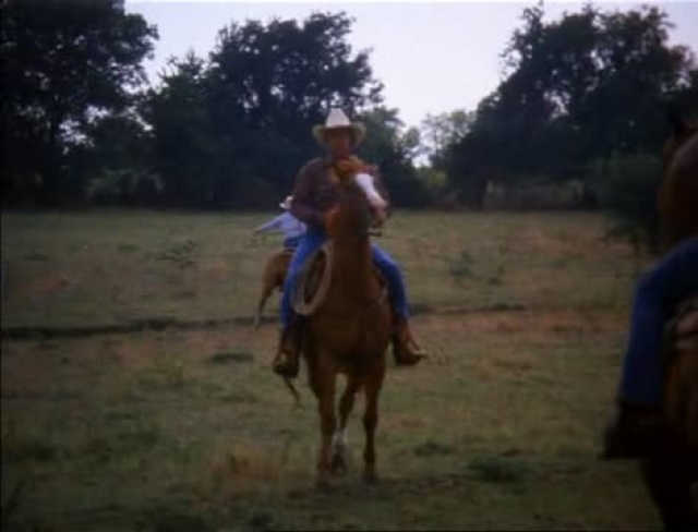 Dallas 137. rész - Sakk matt