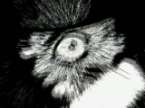 Naruto - 17.rész !Magyar!