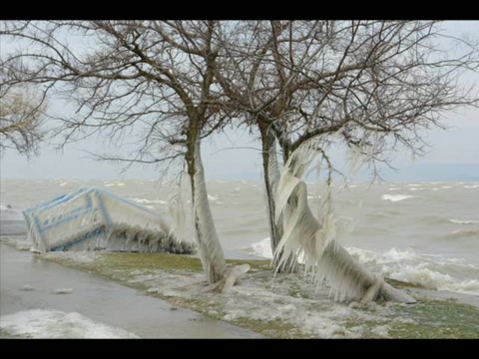 Бора ветер. Горизонтальные сосульки в Новороссийске. Лютая зима с заледеневшими деревьями. Бора ветер в Италии. Белая Бора ветер.