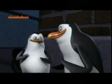 Madagaszkár pingvinjei S2E38 A veszély...