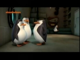 Madagaszkár pingvinjei S2E36 Agy baj