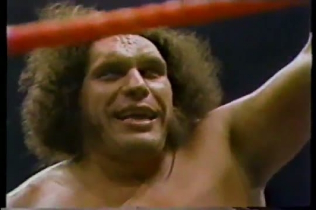 Hulk Hogan & Andre The Giant vs Adonis, Murdoch, Studd (WWF 1984.07.15)