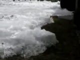 Támad a jég