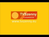 Villám Géza - TV Shop (telefon)