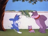 Tom és Jerry 6-Az én kölyköm