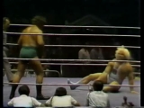 Bruno Sammartino vs Ken Patera (WWWF 1977.08.29)
