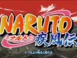 Naruto Shippuuden opening 14
