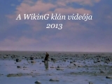 WikinG video 2013-10